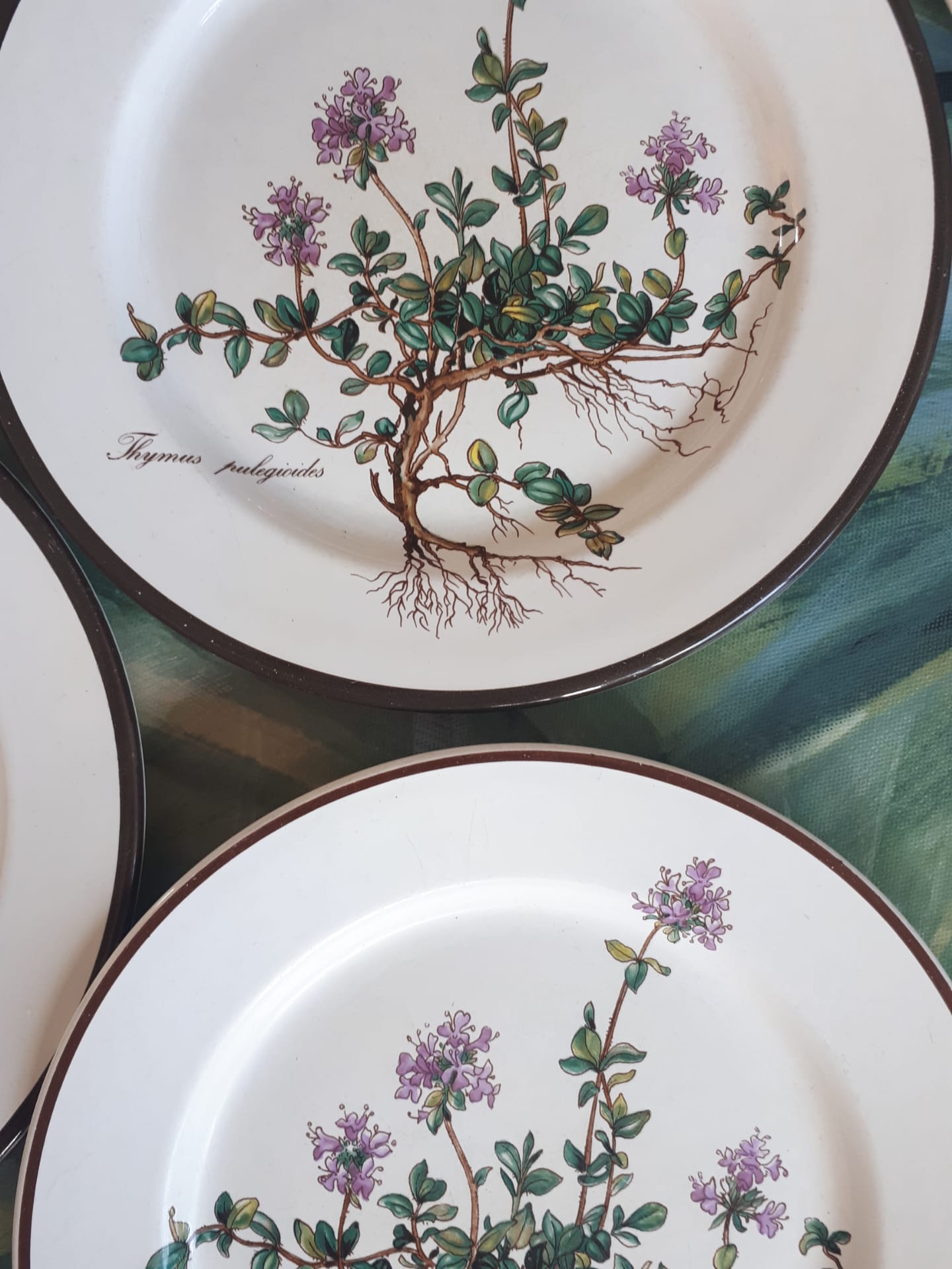 Lot of 5 dessert plates "Thymus" from the Botanica de Boch service