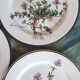 Lot of 5 dessert plates "Thymus" from the Botanica de Boch service