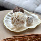Vide poche coquille nacre et laiton
