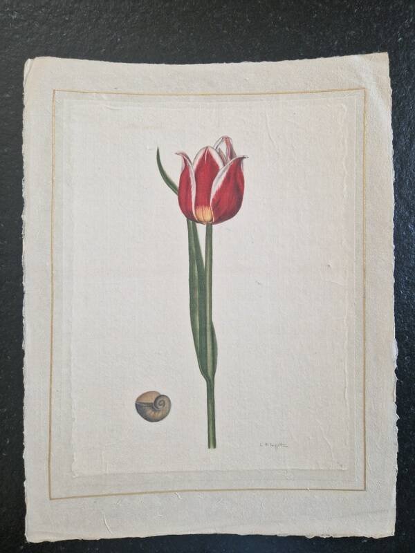 La Roche Laffitte (Born in 1943) - Watercolour drawing on silk - Tulip