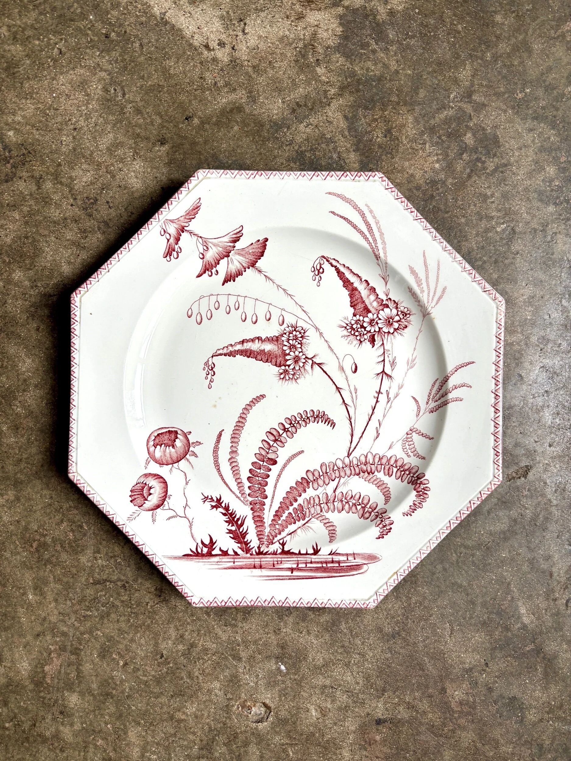 Medium ironstone dish Clairefontaine, "Indiana" service.