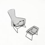 "Bird" armchair and ottoman by Harry Bertoia for Knoll, 1960s