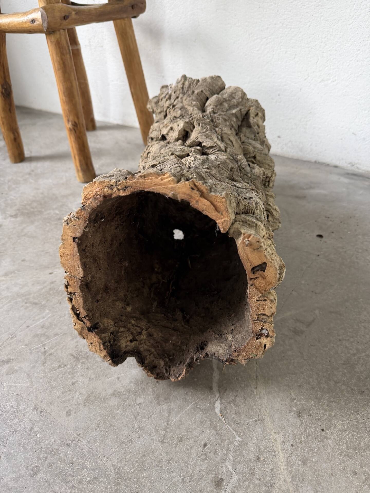 XL cork bark vase