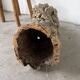 XL cork bark vase