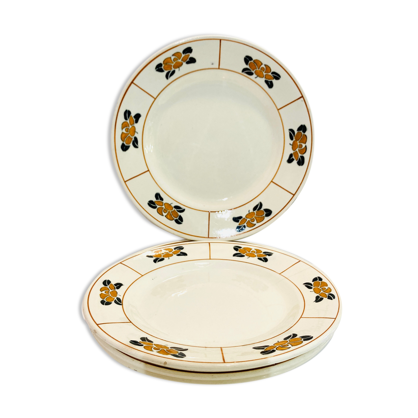 Plates charcoal-salt, nymphea, terre de fer