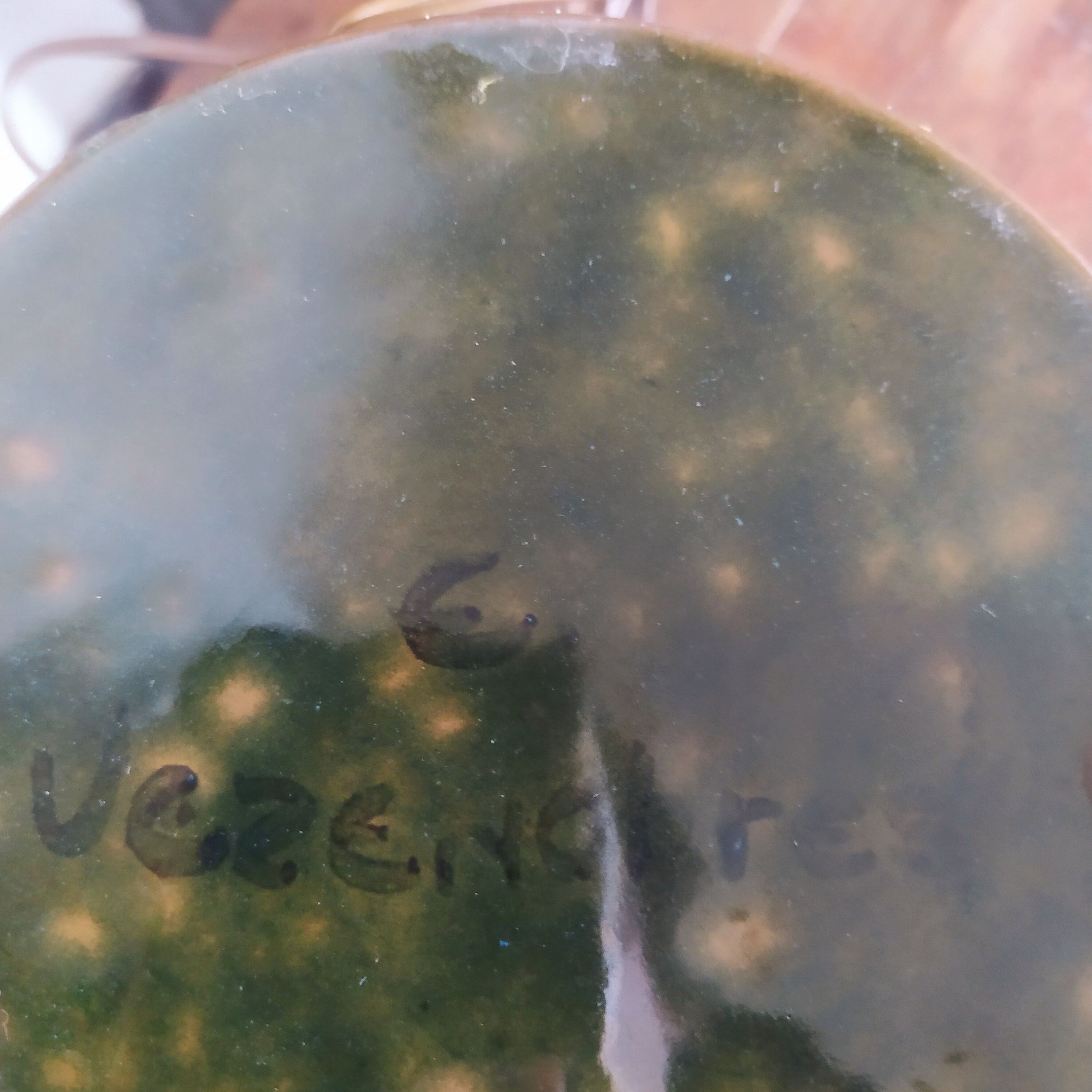 Lamp foot in glazed ceramic from Vezenobres