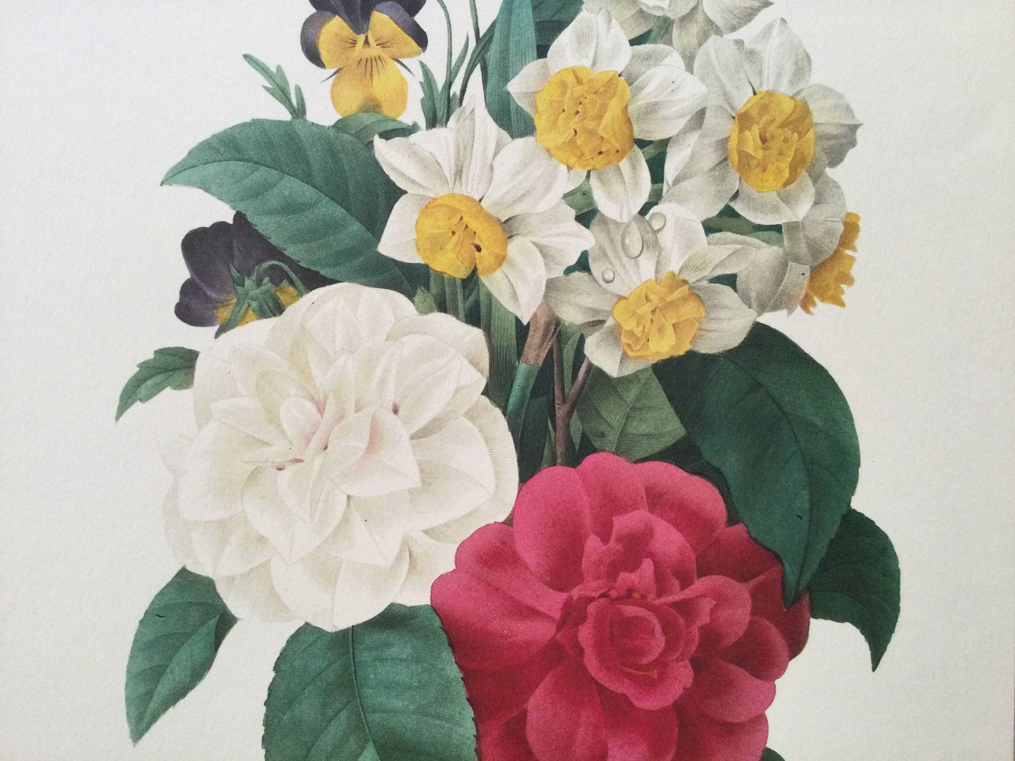 Impression vintage Fleur Bouquet de Camélias
