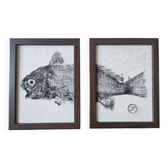 Gyotaku of an Ombrine (on 2 frames)