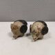 Ceramic elephants as salt and pepper sets made for Danish Søholm 1970-80s