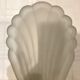 Pair of shell sconces