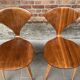 Set of 4 Norman Cherner chairs for Plycraft USA in teak, 1960s