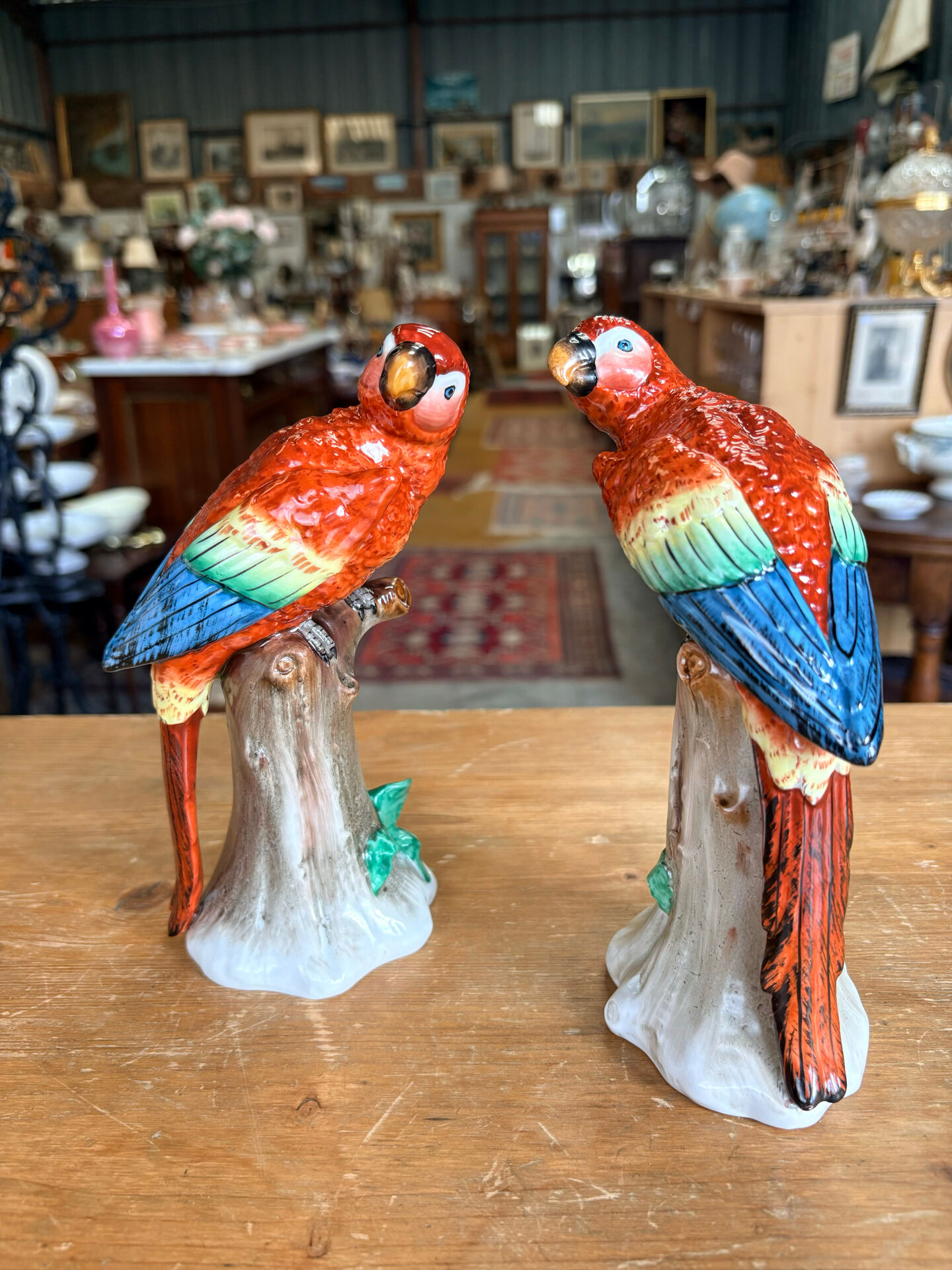 Pair of porcelain parrots Sitzendorf – Germany
