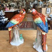 Pair of porcelain parrots Sitzendorf – Germany