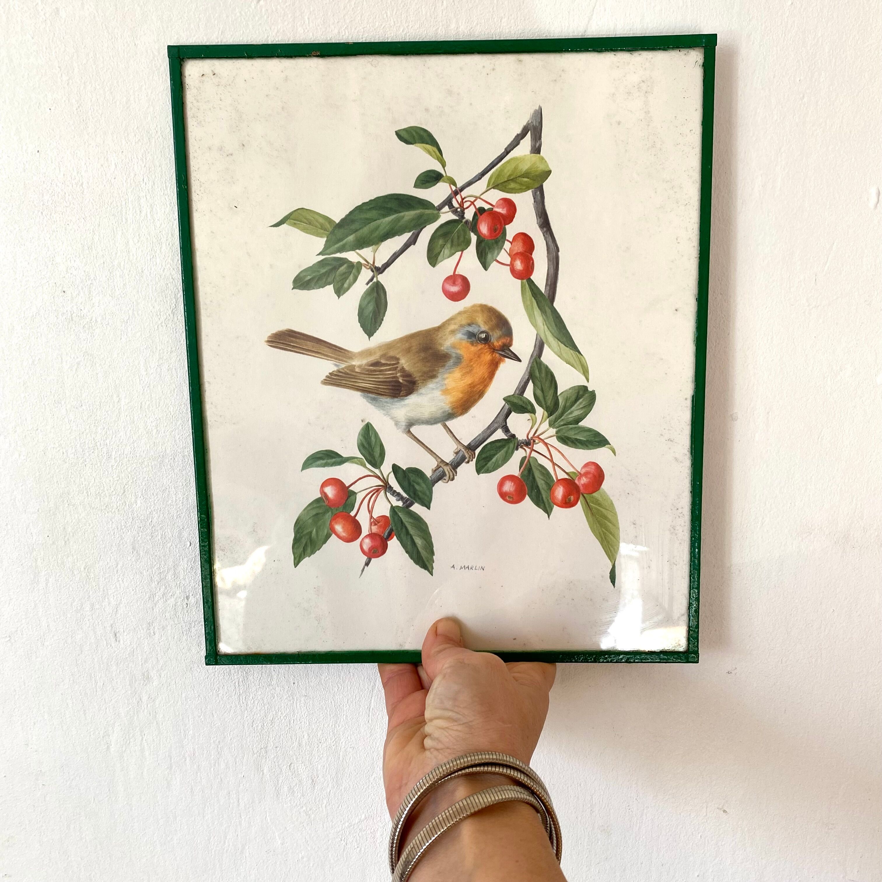 Antique engraving bird in metal frame