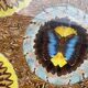 Plateau décor morpho aile de papillons