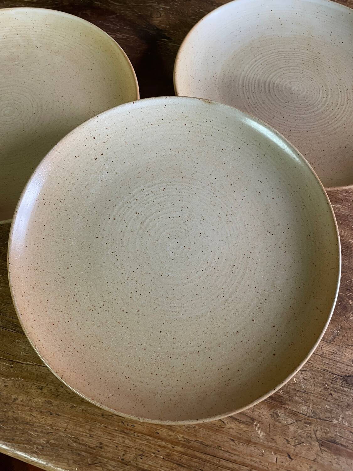 Assiettes plates en grès CNP