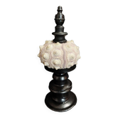 Cabinet of Curiosities sea urchin phyllacanthus imperialis on base