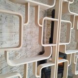 Mid-Century Czech Wall or Room Divider by Ludvik Volak for Drevopodnik Holesov, 1960s, Set of 2