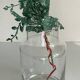 Vase design crystal contemporary
