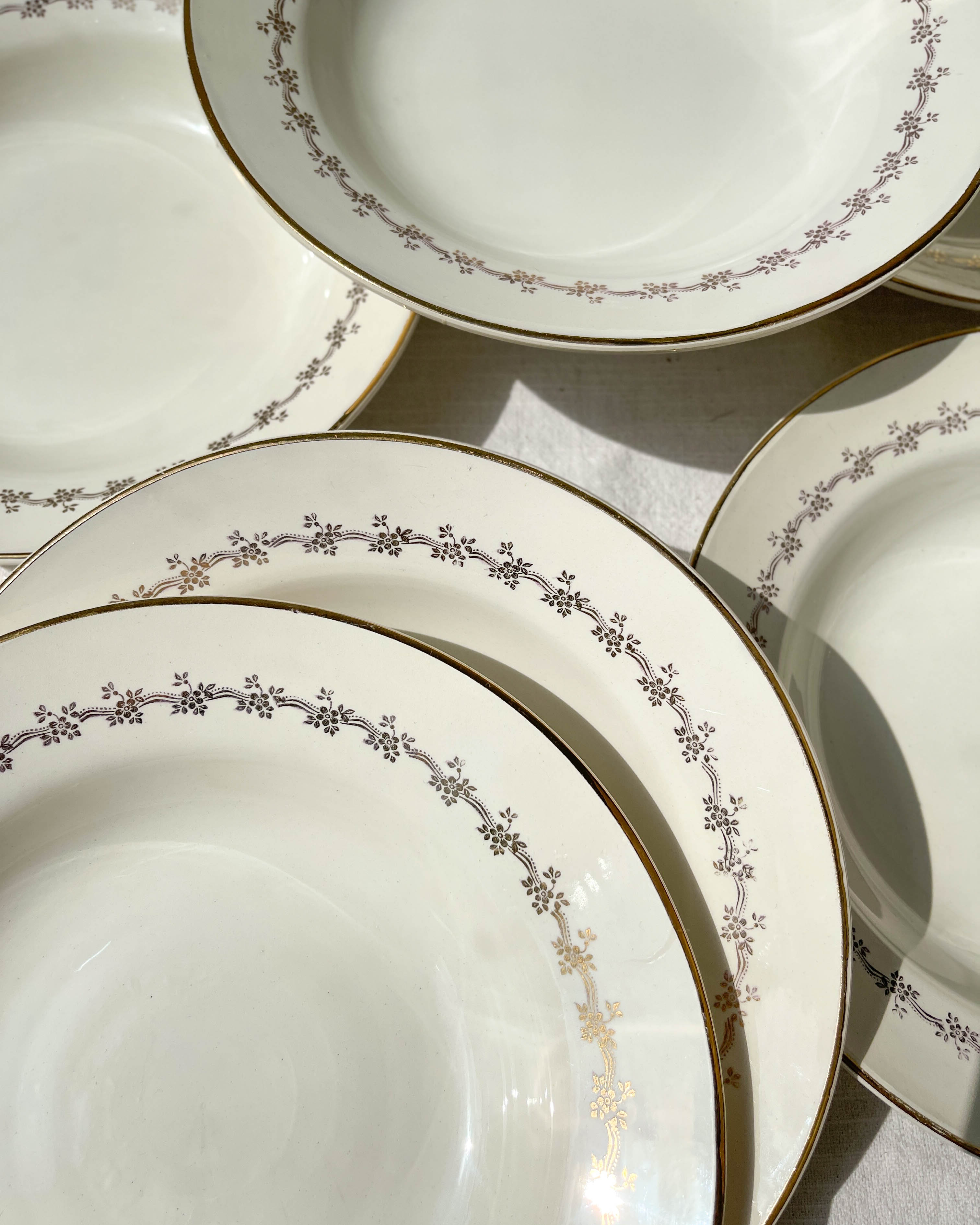 6 opaque porcelain soup plates from Digoin, "Suzy" model