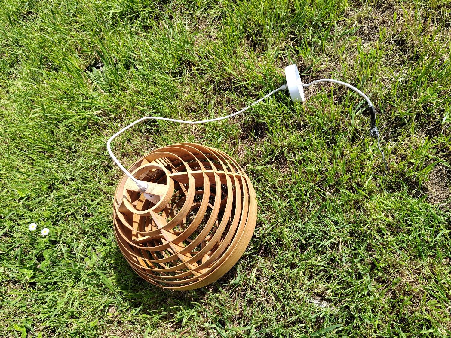 Scandinavian curved wood pendant light