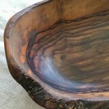 Olive wood cutting