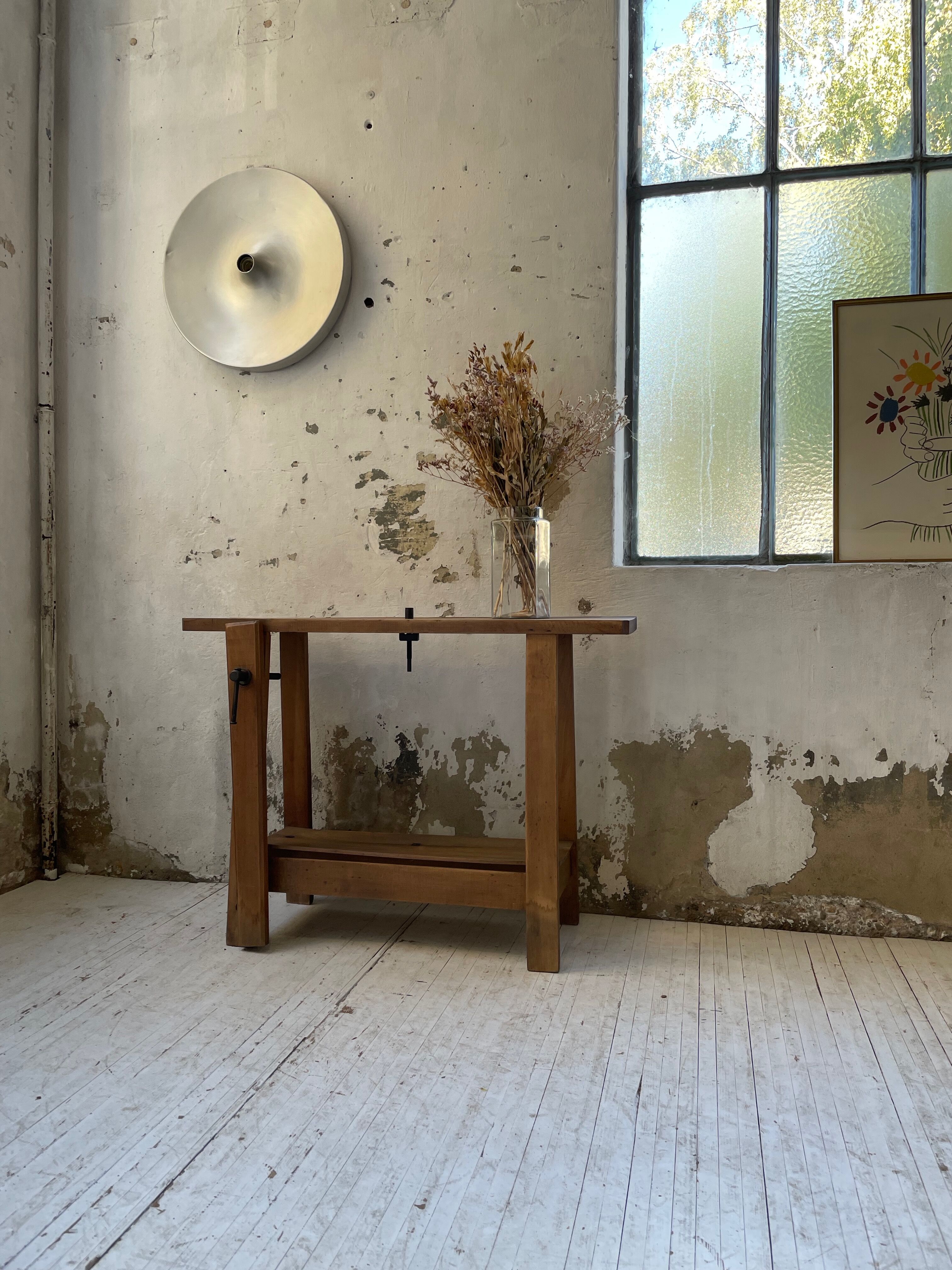 Established XS in cherry tree