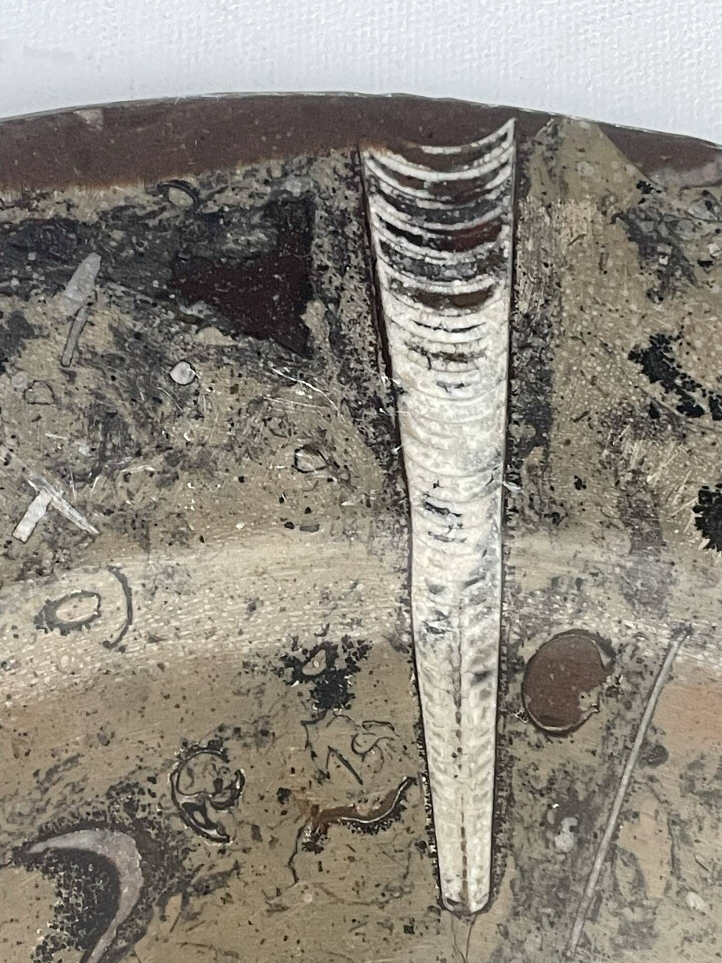 Round plate, fossil marble catch-all 35cm