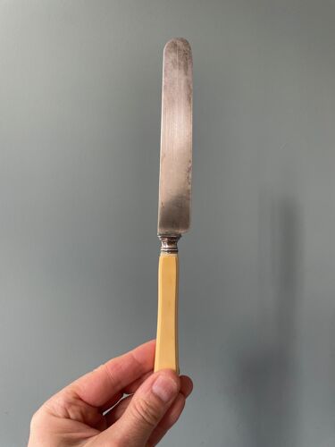 Coffret de 12 couteaux de table XIXème Napoleon III
