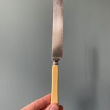 Box of 12 table knives XIXth Napoleon III