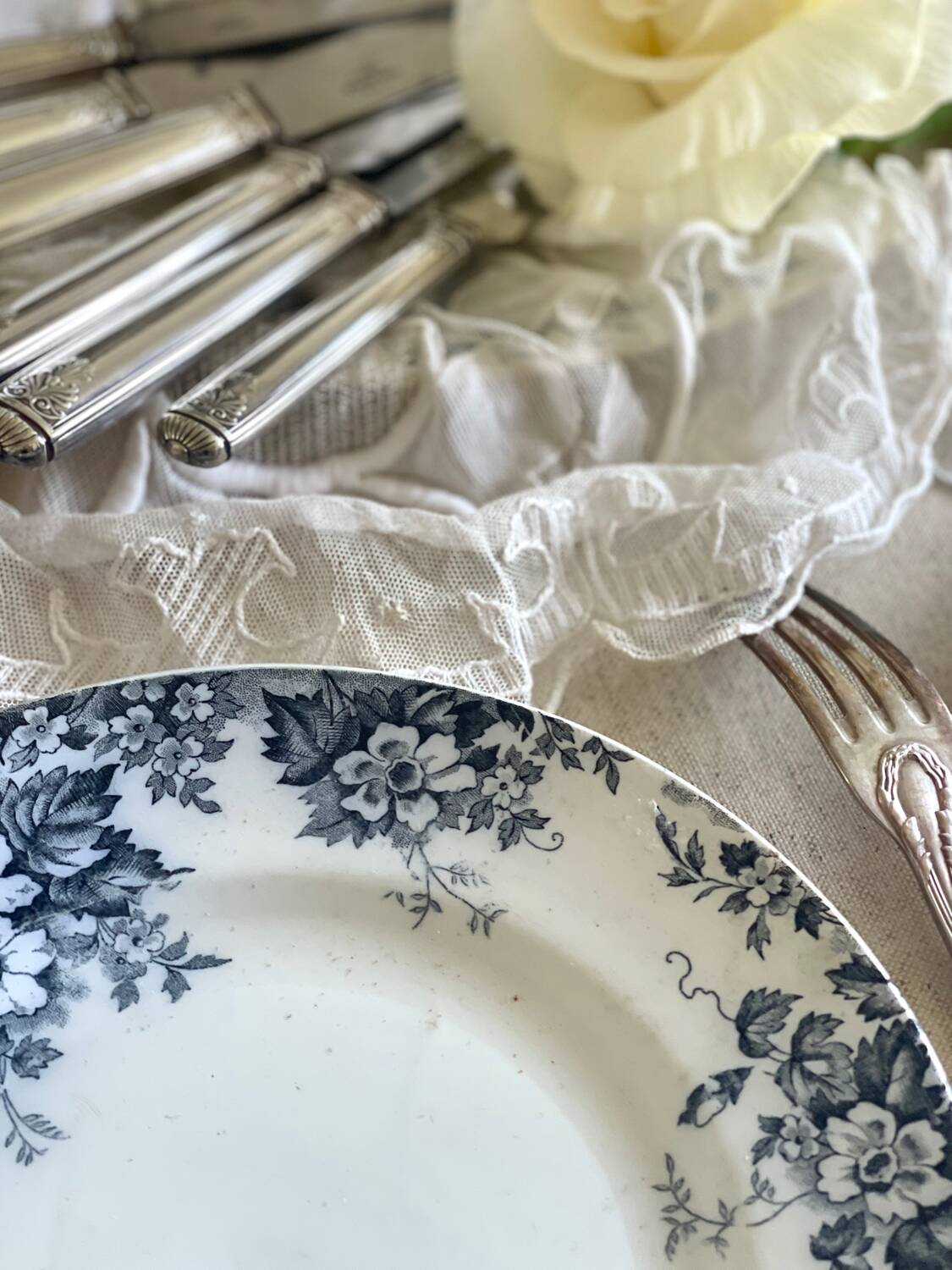 9 mismatched blue ironstone plates