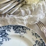 9 mismatched blue ironstone plates