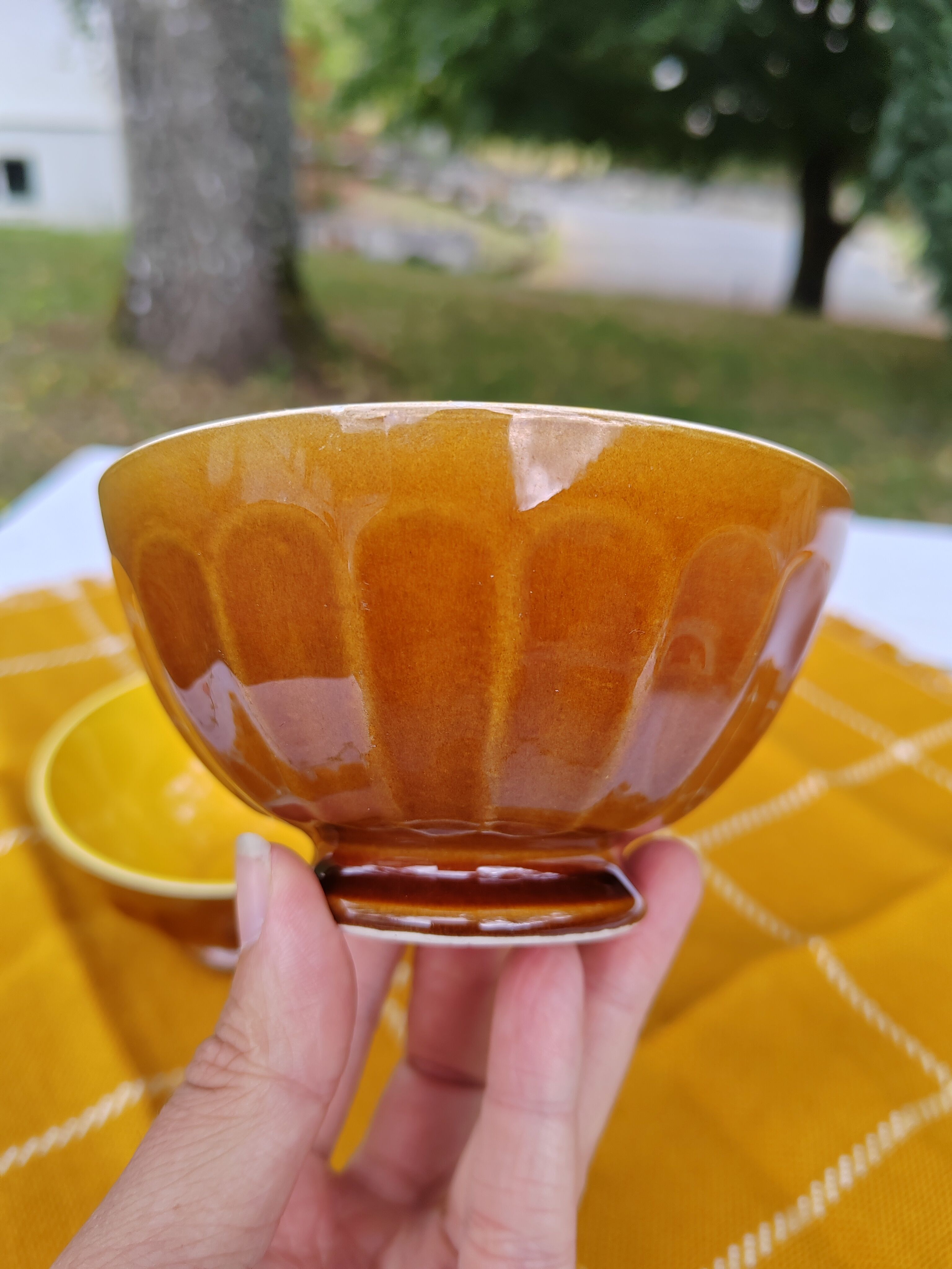 Pair of brown/yellow ribbed bowls - Digoin & Sarreguemines