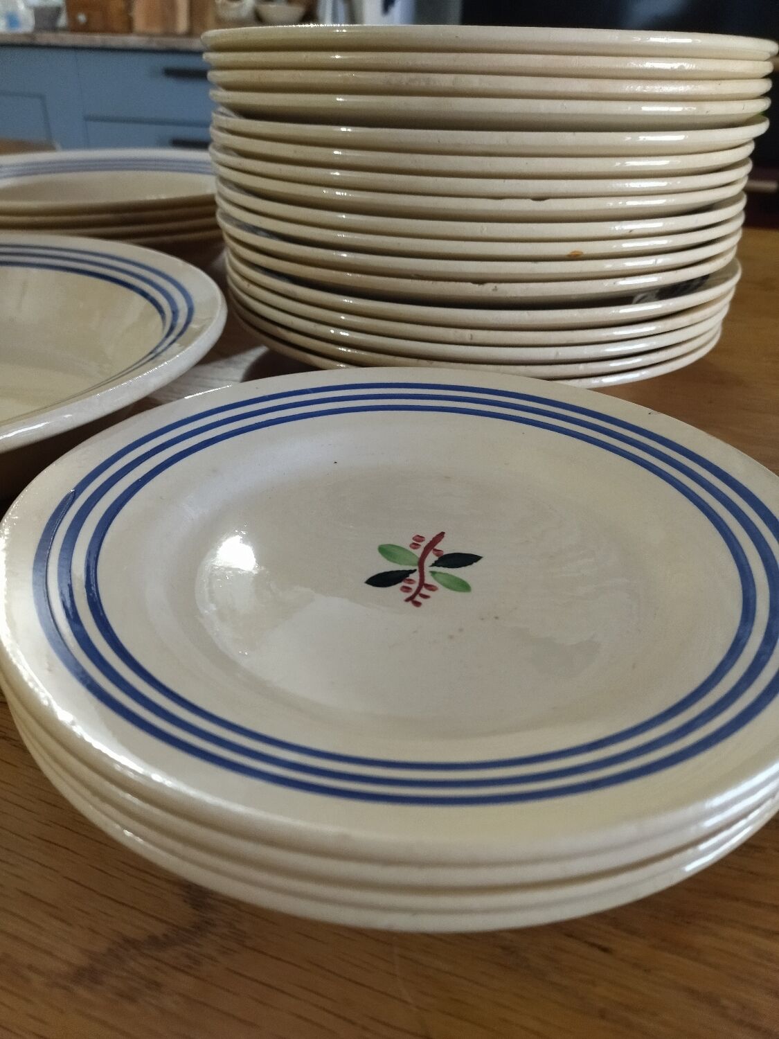 Lot plates of Gien - Model Yvonne