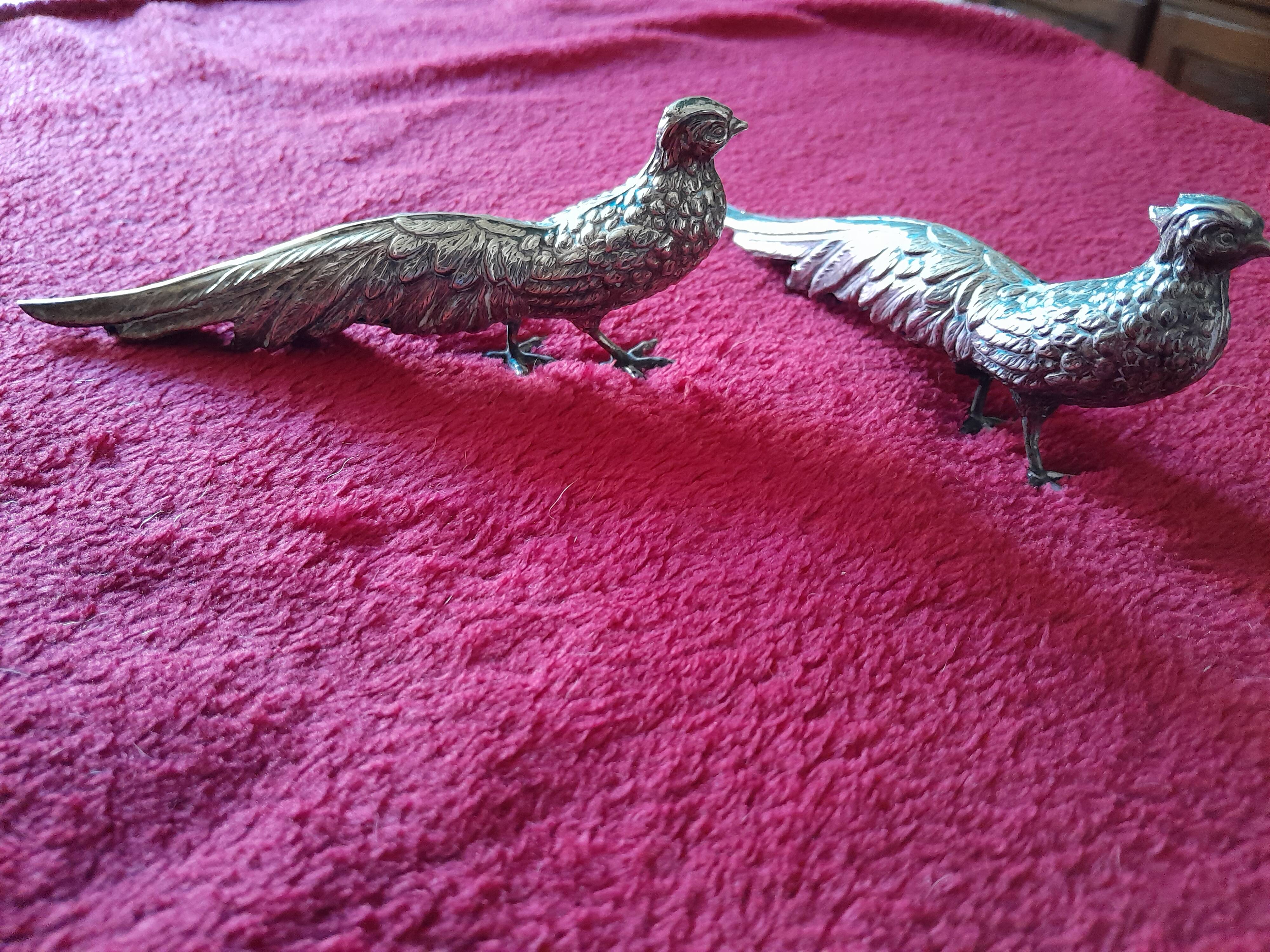 Two silver pheasants