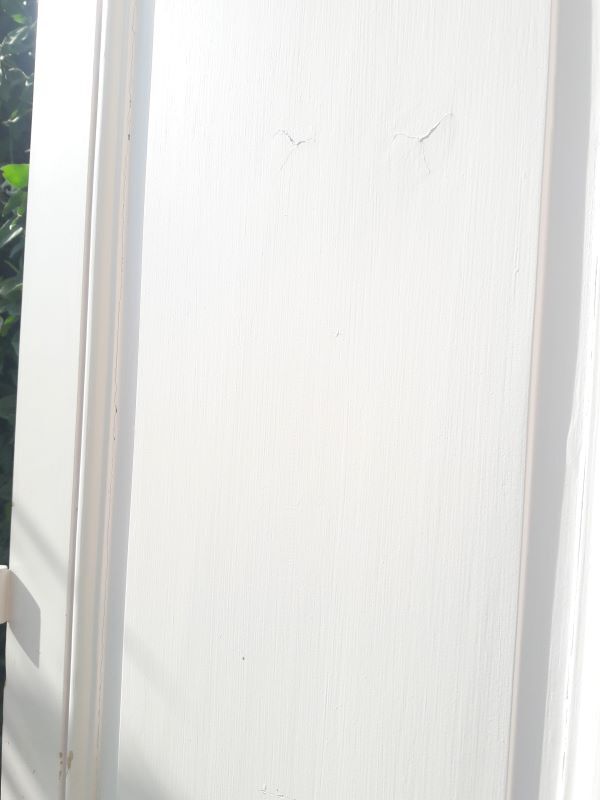 Pair of doors 229,5x110cm closet
