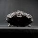 Antique black cast iron planter from the late 19th century Rocaille style