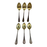 6 Teaspoons Silver makes Amshauser800