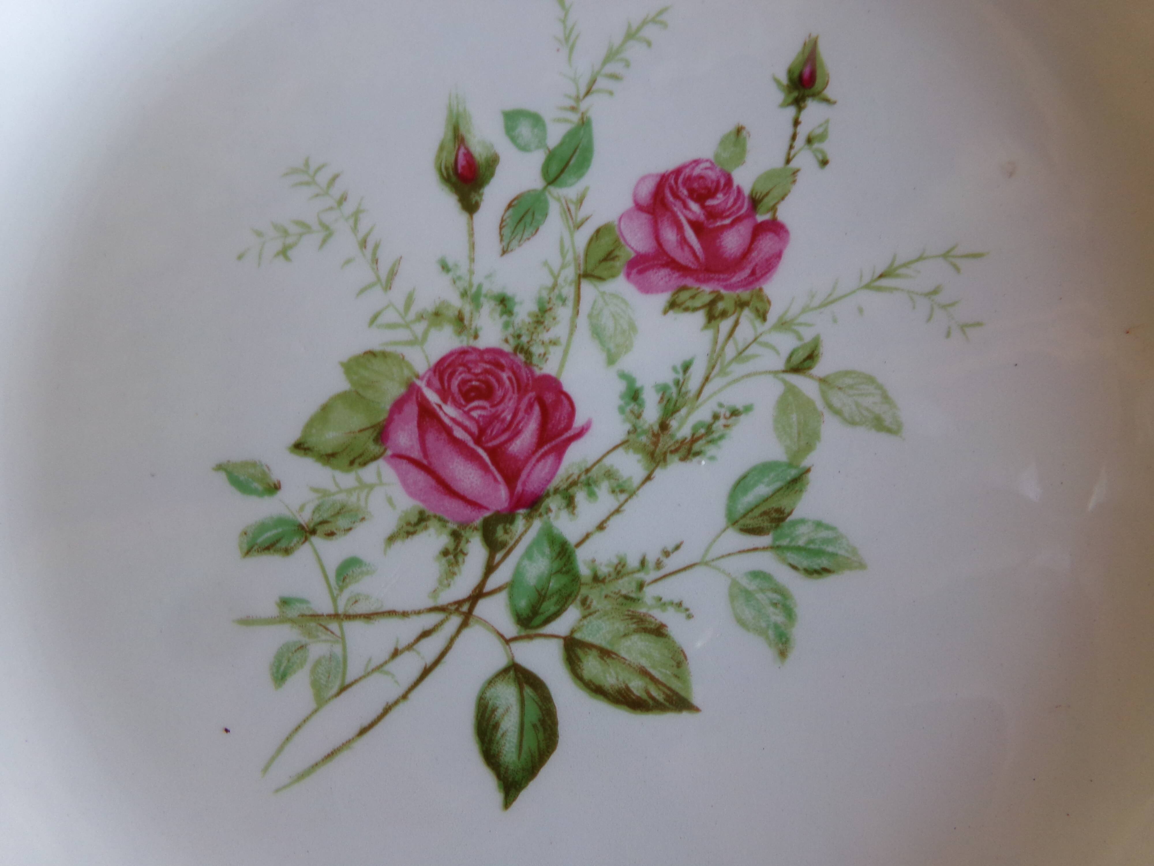 7 hollow plates Faïencerie de Gien model "Pompadour"