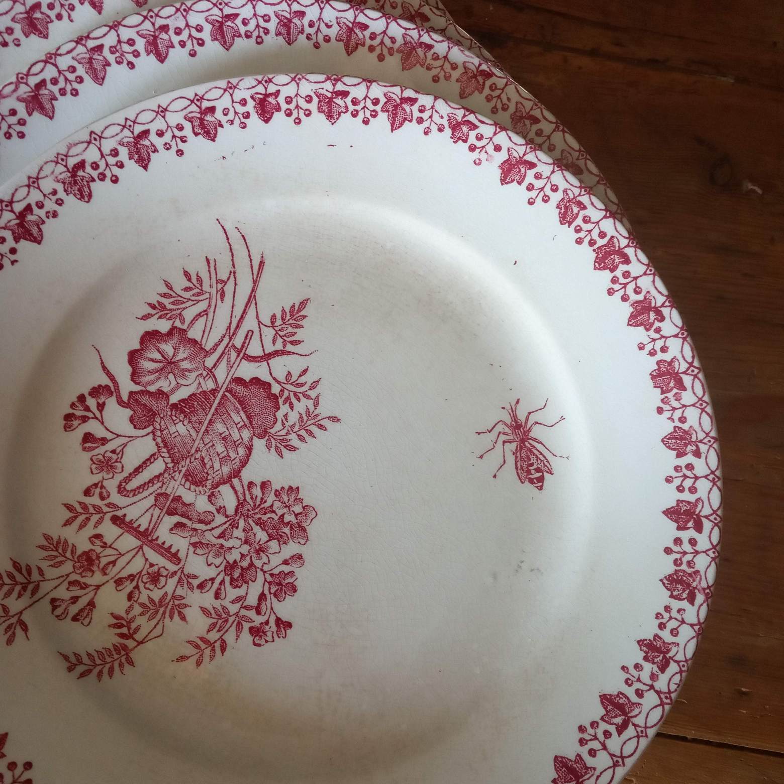 6 old dessert plates, iron earth, pink décor