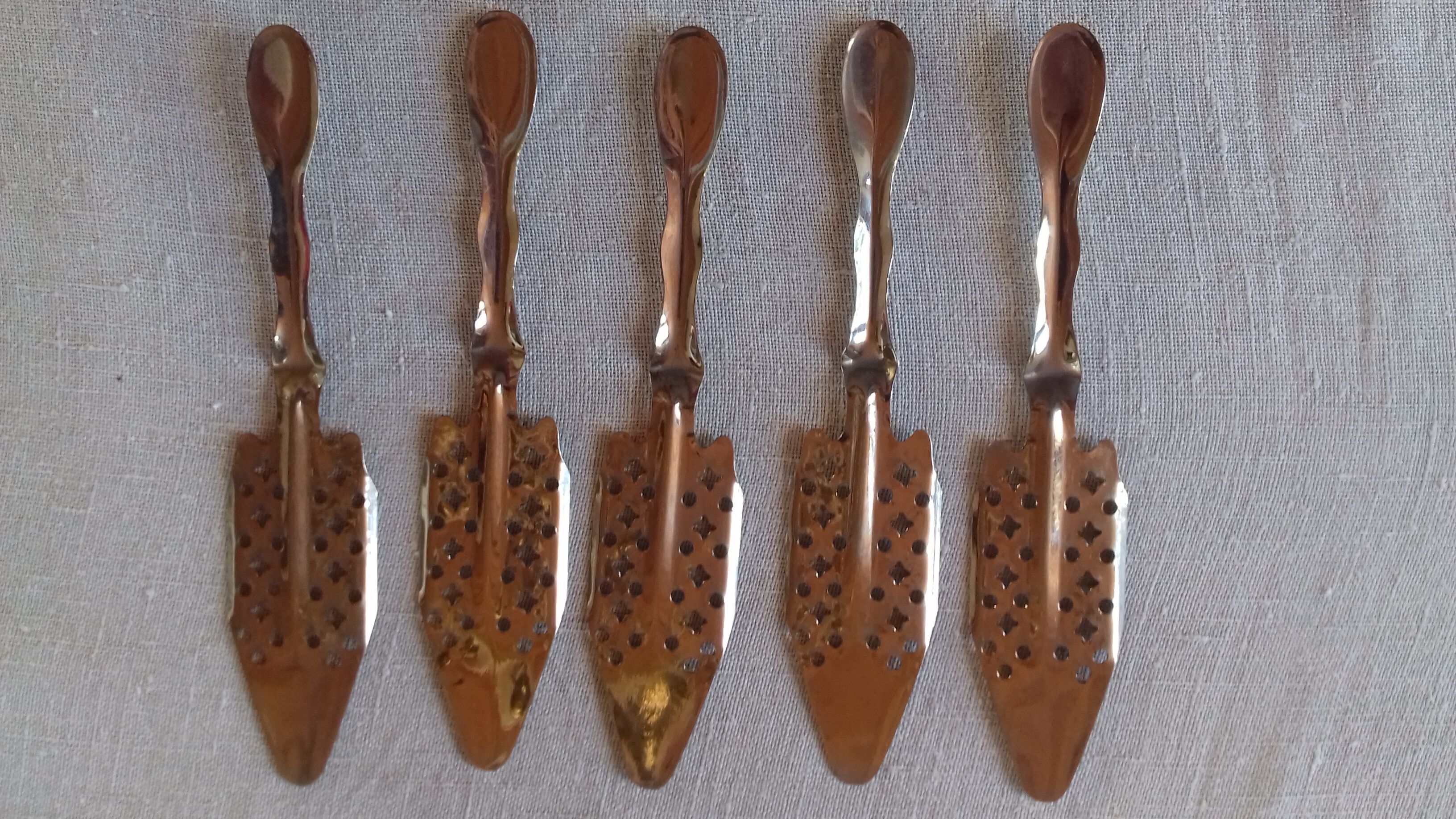 5 stainless steel absinthe spoons