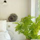 Retro wall lights Aude by Zangra