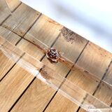 Great inclusion cicada Pomponia