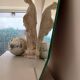 Antique hexagonal mirror