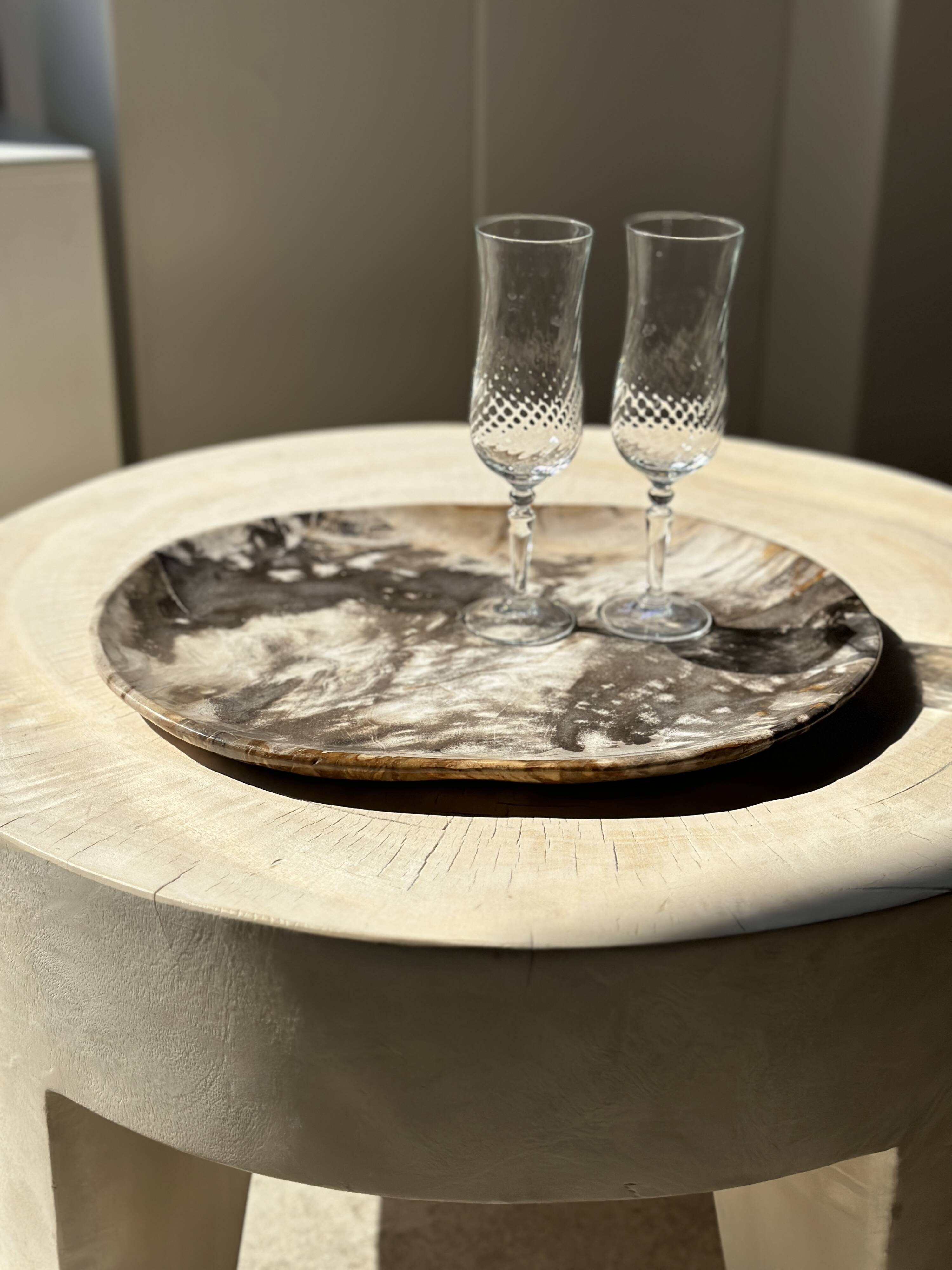 Very large pocket or dish in petrified wood