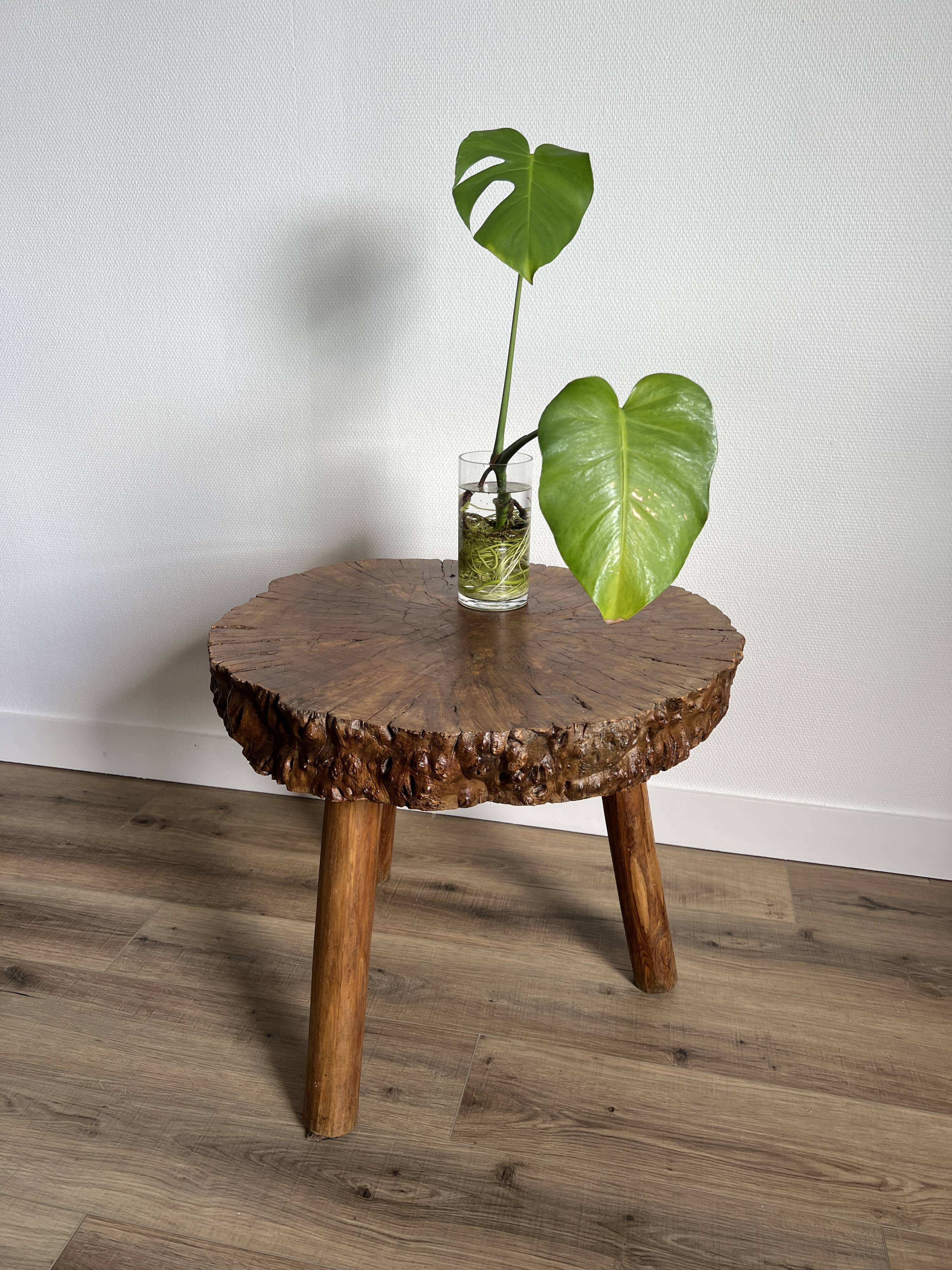 Brutalist tripod coffee table in elm burl, 1950.