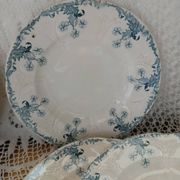 Longwy iron earth dinnerware set