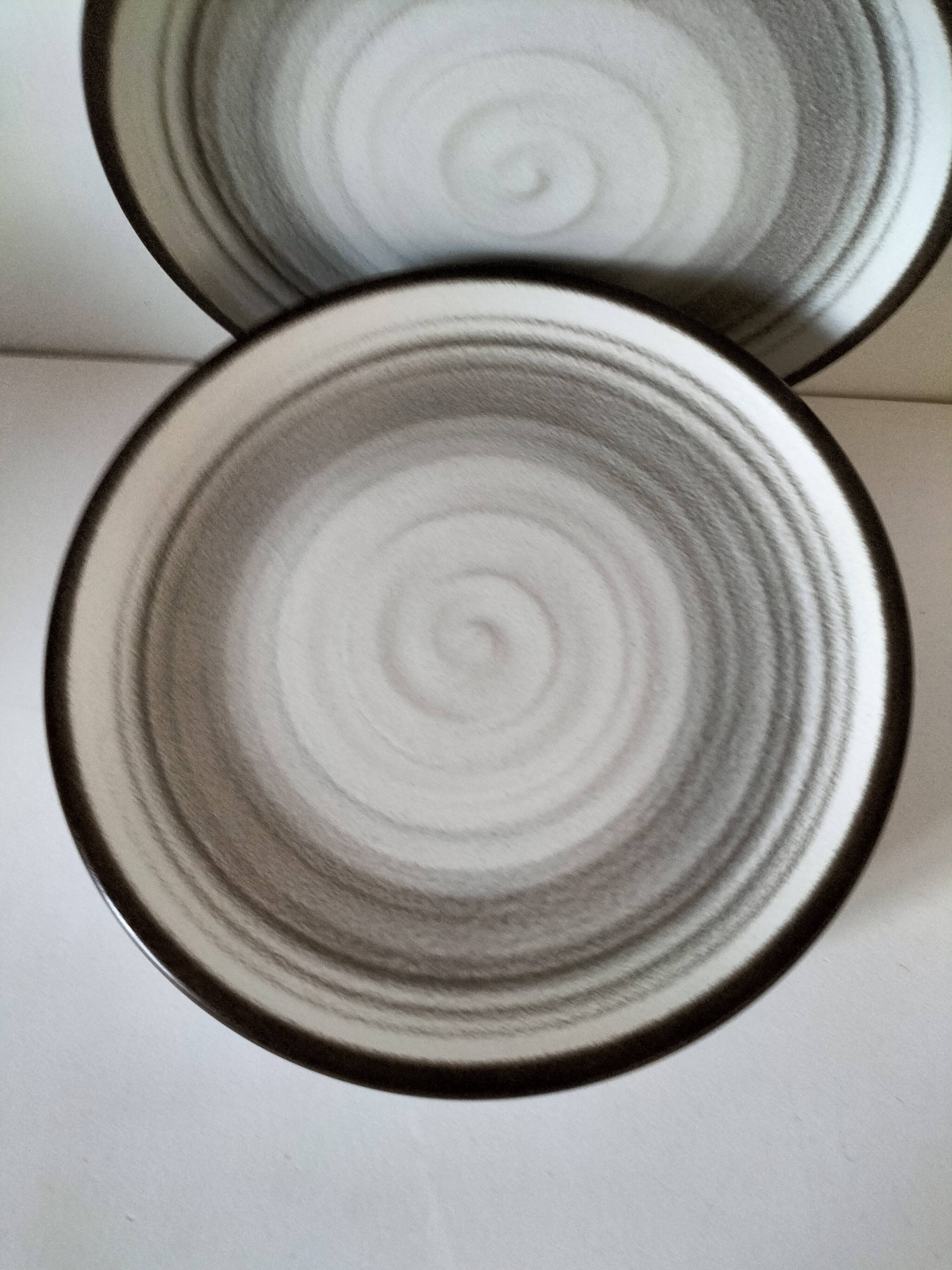 Set of 10 Salins plates with grey and brown mineral spiral decoration