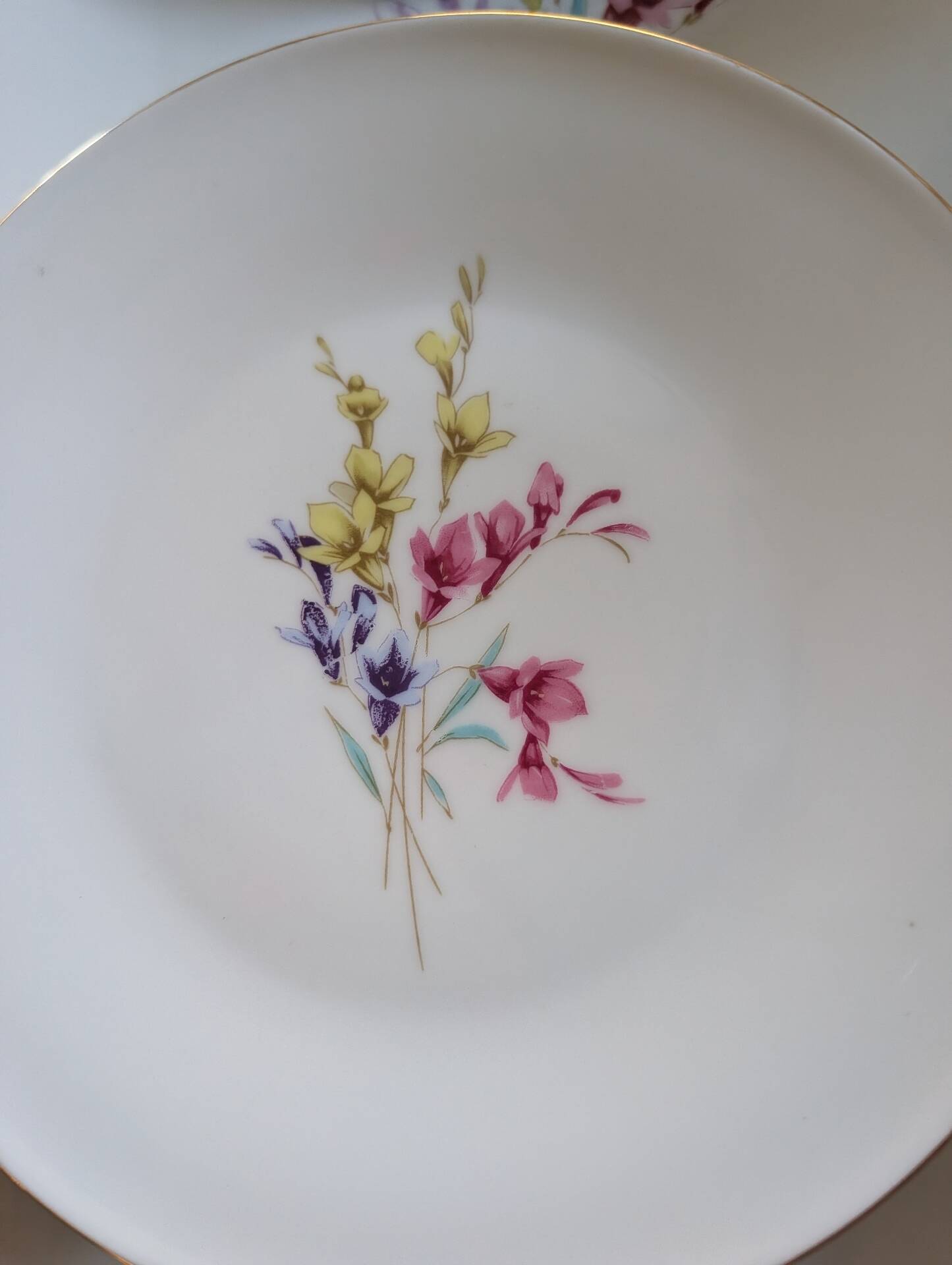 Dessert service Zeh Scherzer 1950s