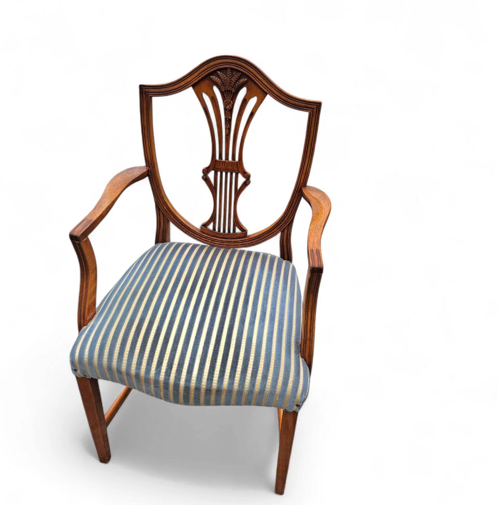6 x English mahogany Hepplewhite chairs / 1920s